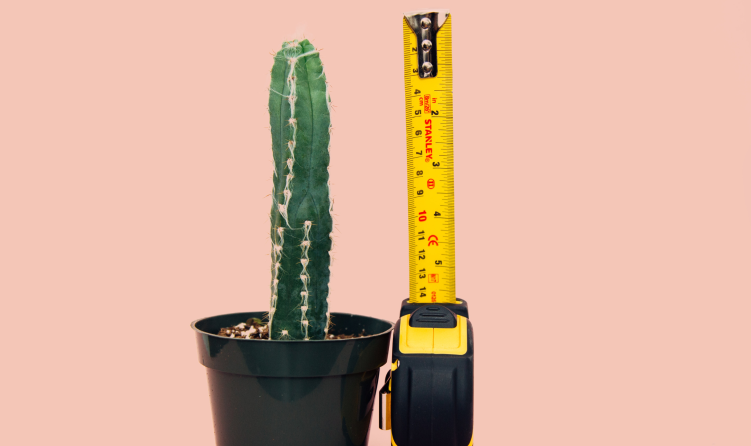 La taille du pénis : ce que les femmes vraiment pensent.0. 1